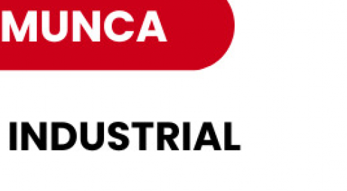 Angajam Vopsitor Industrial